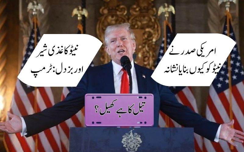 جنگ کے دوران امریکی صدر ٹرمپ نے نیٹو کو کیوں بنایا تنقید کا نشانہ 